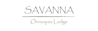 Savanna-logo-final-gray